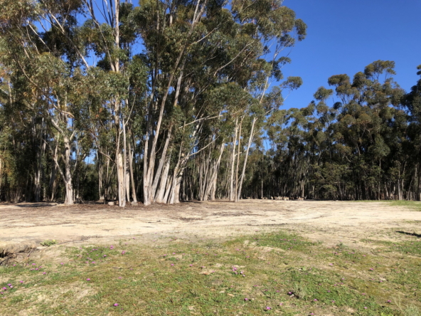 Wiesenhof AS 2019-092