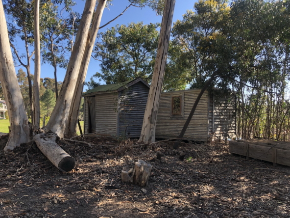 Wiesenhof AS 2019-095