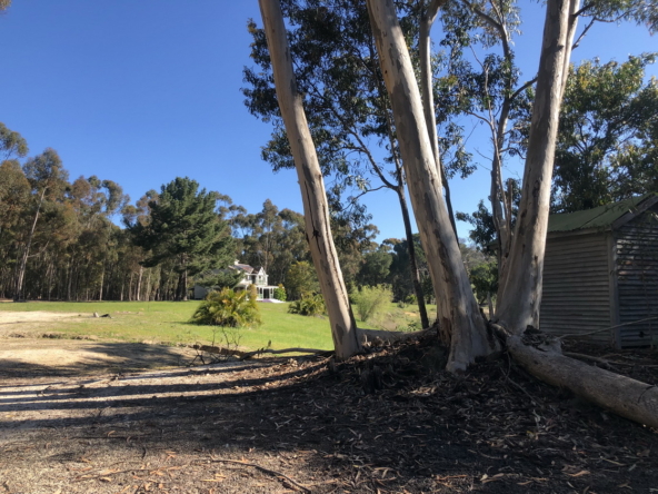 Wiesenhof AS 2019-096