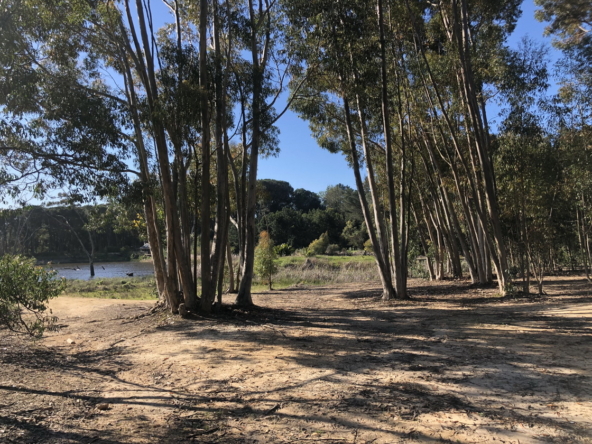 Wiesenhof AS 2019-099