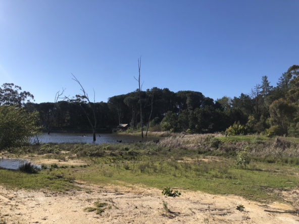 Wiesenhof AS 2019-100