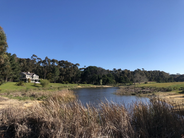 Wiesenhof AS 2019-101