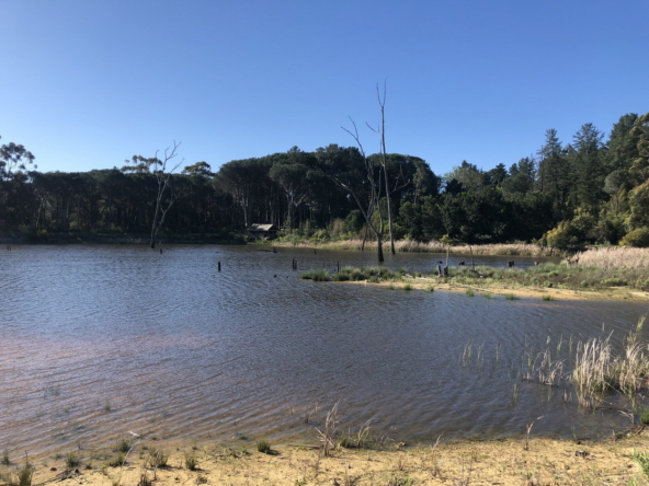 Wiesenhof AS 2019-103