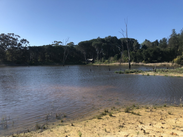 Wiesenhof AS 2019-104