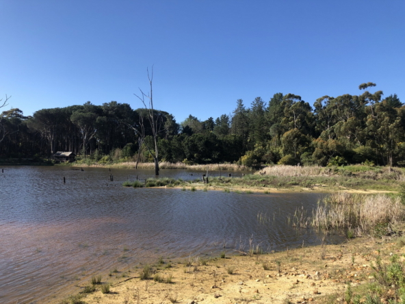 Wiesenhof AS 2019-105