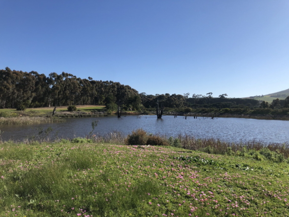 Wiesenhof AS 2019-114