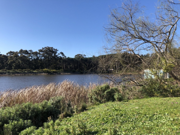 Wiesenhof AS 2019-116