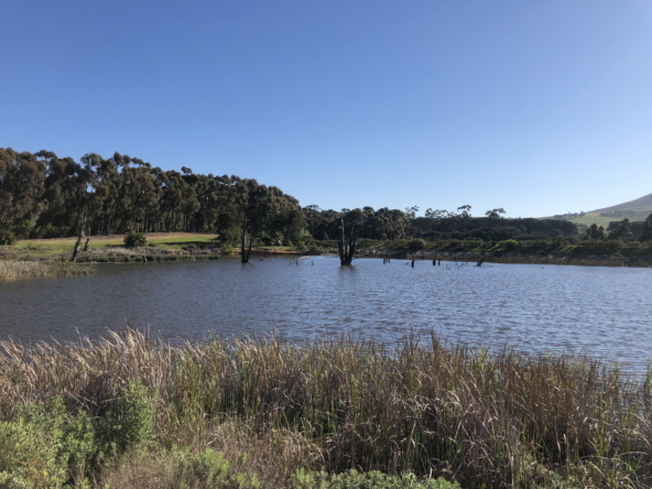 Wiesenhof AS 2019-117