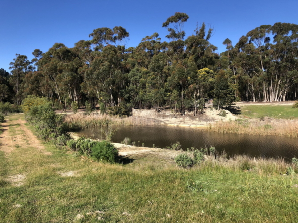 Wiesenhof AS 2019-118