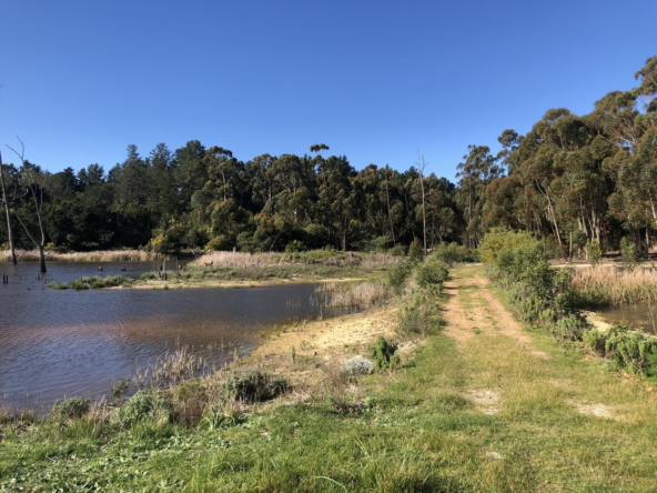 Wiesenhof AS 2019-119