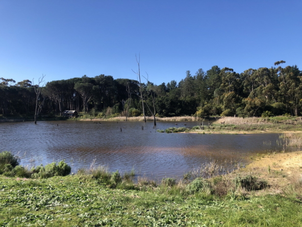 Wiesenhof AS 2019-120