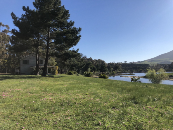 Wiesenhof AS 2019-121