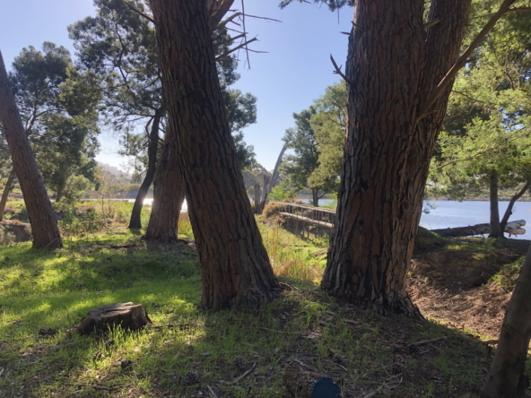 Wiesenhof AS 2019-124