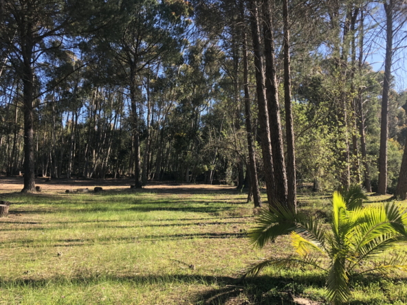 Wiesenhof AS 2019-126