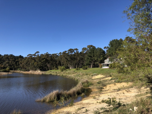 Wiesenhof AS 2019-128