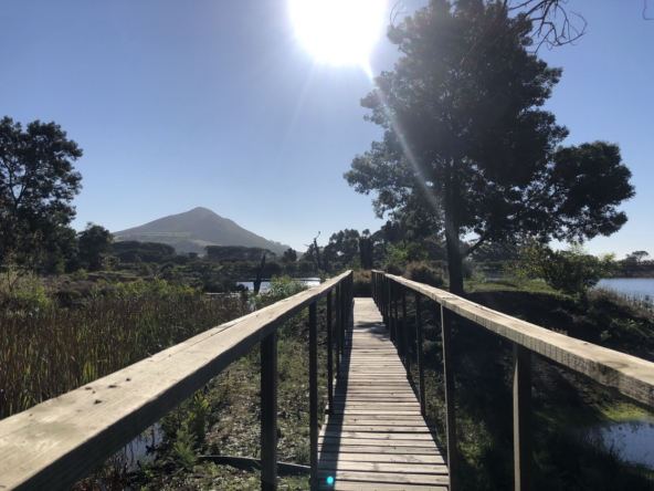 Wiesenhof AS 2019-129