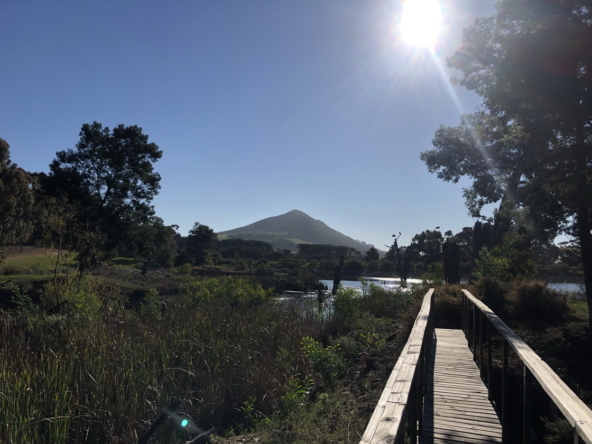 Wiesenhof AS 2019-130