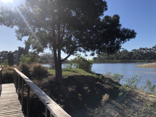 Wiesenhof AS 2019-131