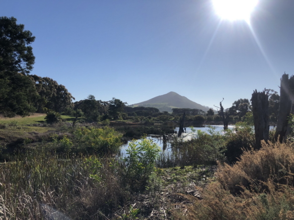 Wiesenhof AS 2019-132