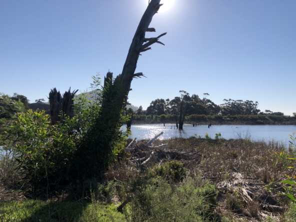 Wiesenhof AS 2019-134