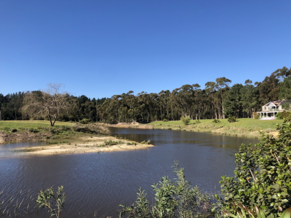 Wiesenhof AS 2019-135