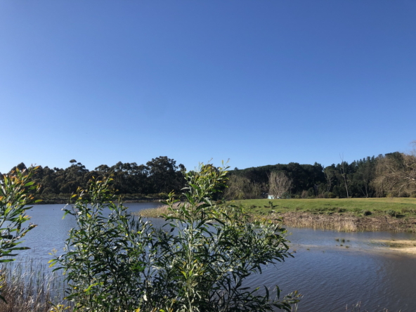 Wiesenhof AS 2019-136