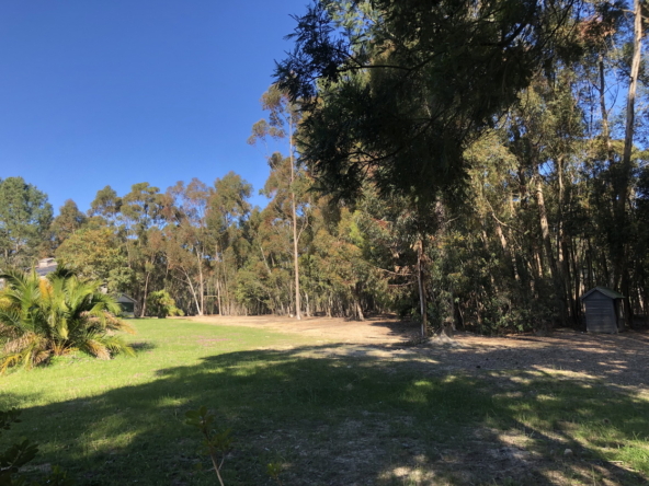 Wiesenhof AS 2019-138