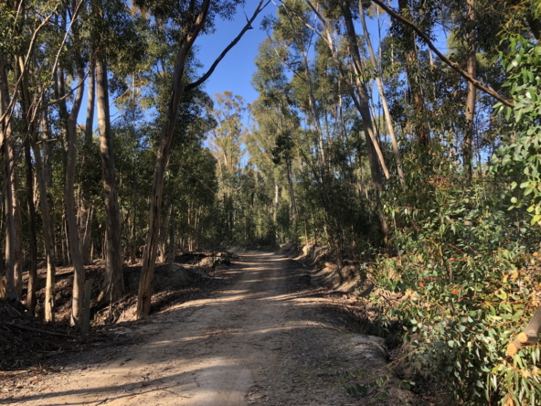 Wiesenhof AS 2019-140