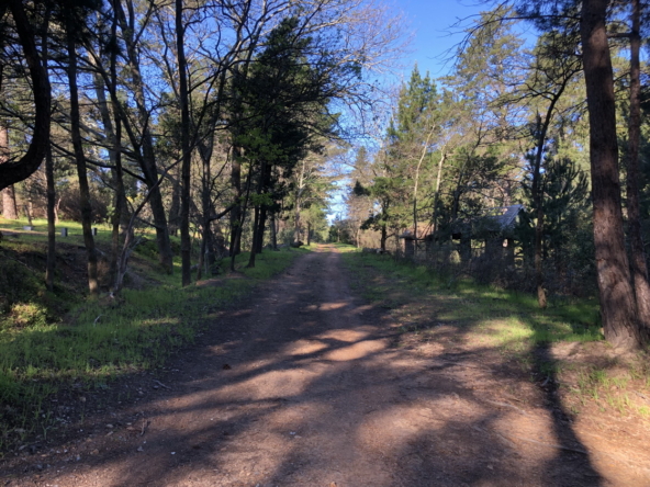 Wiesenhof AS 2019-141