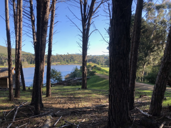 Wiesenhof AS 2019-148