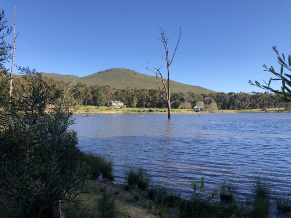 Wiesenhof AS 2019-151