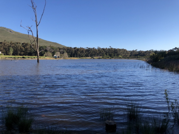 Wiesenhof AS 2019-152