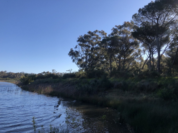 Wiesenhof AS 2019-154