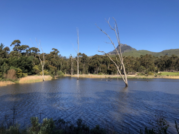 Wiesenhof AS 2019-160