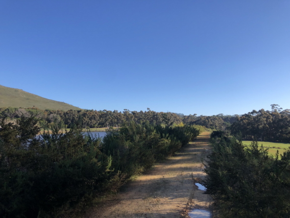 Wiesenhof AS 2019-162