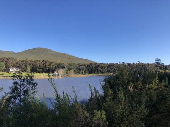 Wiesenhof AS 2019-163