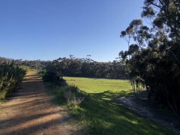 Wiesenhof AS 2019-165