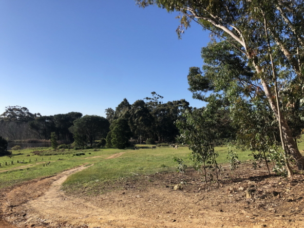 Wiesenhof AS 2019-169