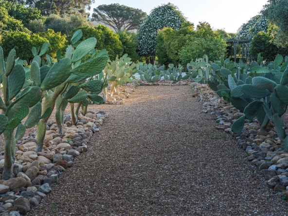Babylonstoren AS 2024-100