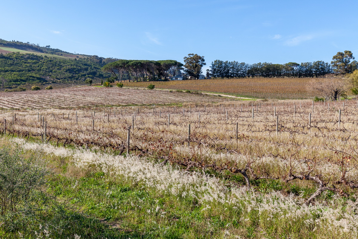 Klein Helderberg