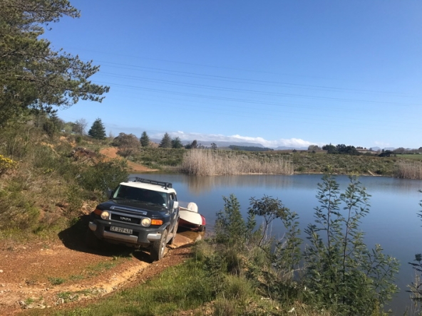 002 Lamtico at Appleberry AS 2017