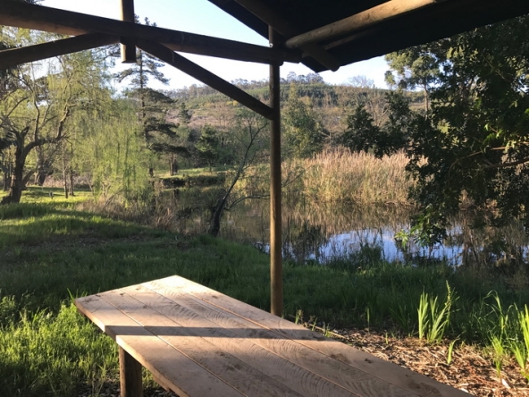 007 Lamtico at Appleberry AS 2017