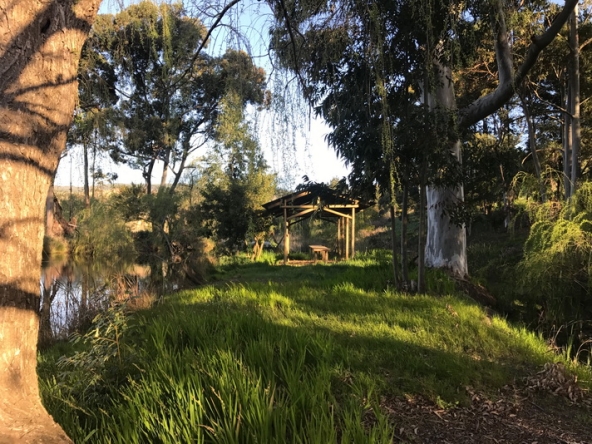 010 Lamtico at Appleberry AS 2017