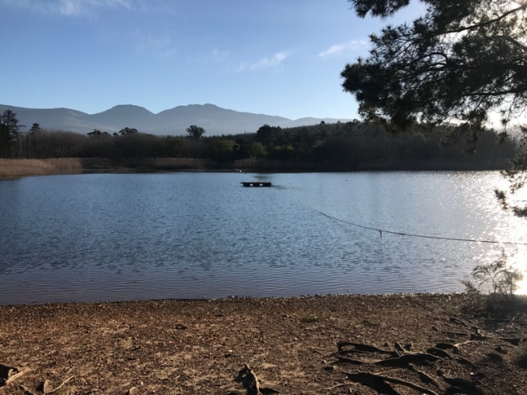 015 Lamtico at Appleberry AS 2017