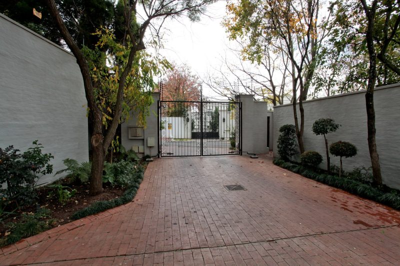 Blonde Shell