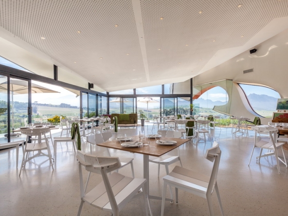 005 Louisvale Wines AS 2019