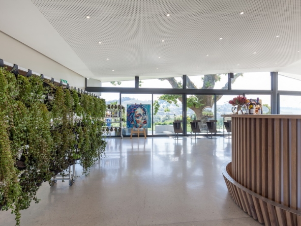 014 Louisvale Wines AS 2019