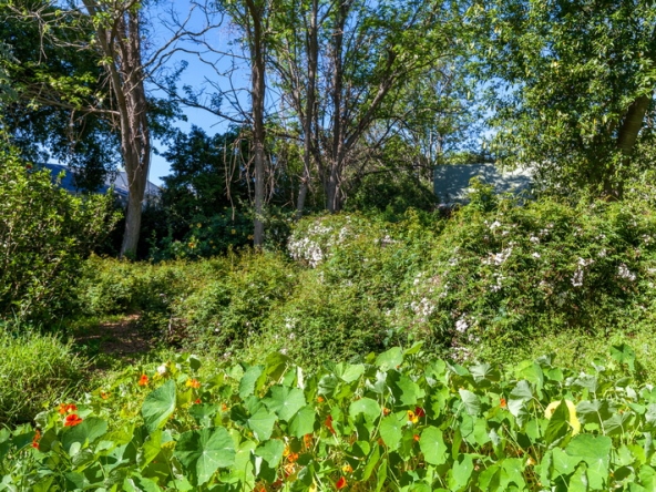 034 Gumbee Lodge AS 2019
