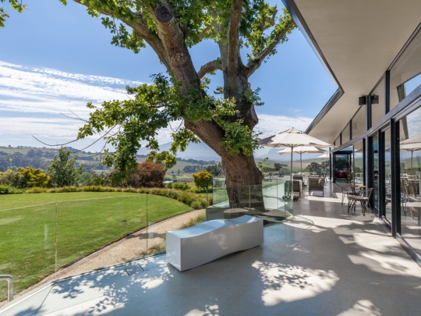 037 Louisvale Wines AS 2019