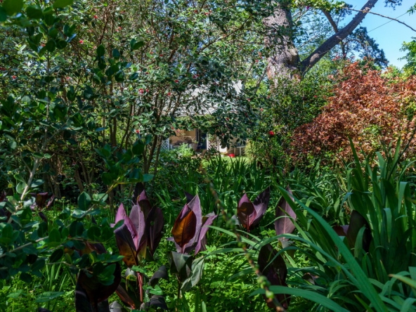 038 Gumbee Lodge AS 2019